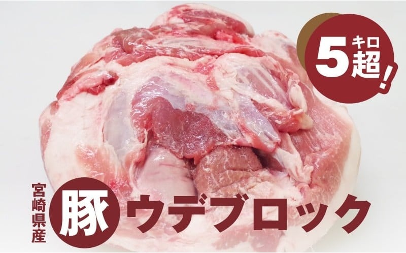 宮崎県産豚ウデブロック５kg超! K16_0014_10 国産豚肉 ウデ肉 かたまり肉 5キロ 冷凍 大容量 ブロック肉 塊肉 大きい お好みにカットできる 届いたらご自宅でカット 送料無料