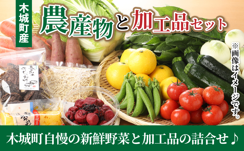 木城町産農産物と加工品セット K04_0001_2