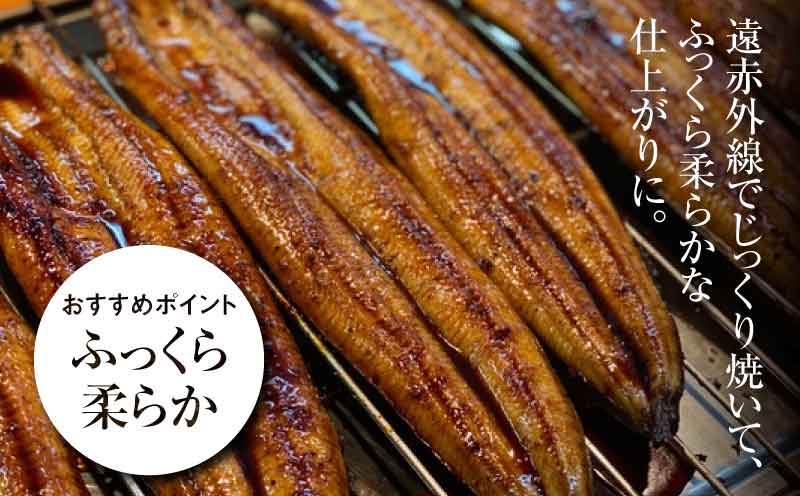 宮崎県産 うなぎ 蒲焼き 4尾セット	 K10_0015_2 