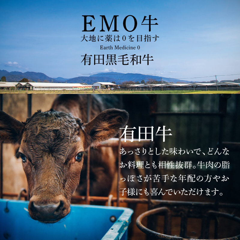 木城白木八重牧場育ちの黒毛和牛厳選焼肉 600g K20_0012_3