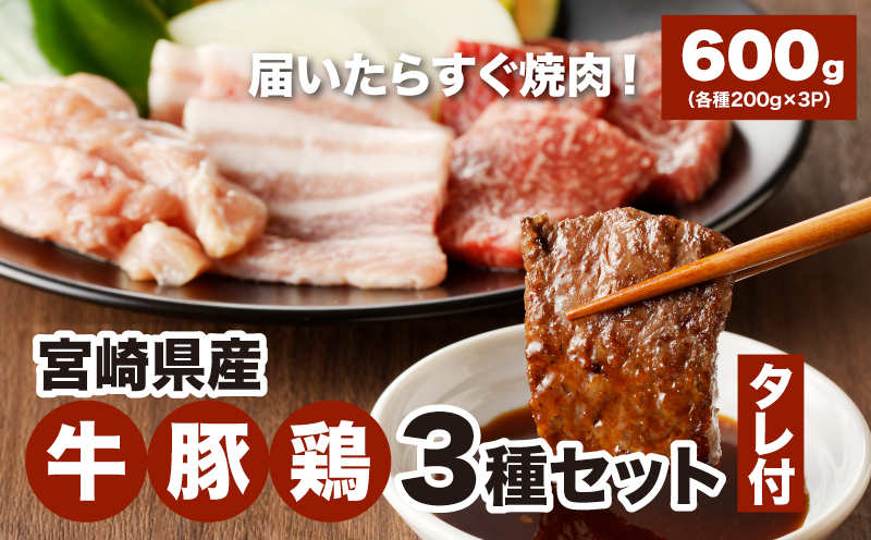 宮崎県産焼肉３種セット【タレ付き】（牛・豚・鶏） 計６００ｇ  カット済み  K16_0079_1