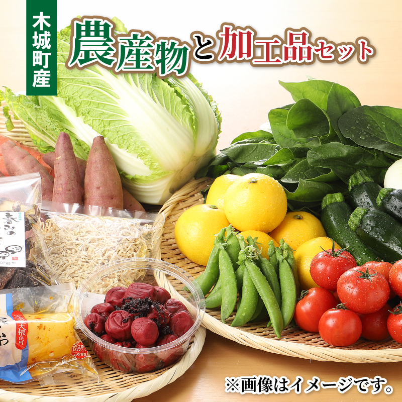 木城町産農産物と加工品セット K04_0001_2