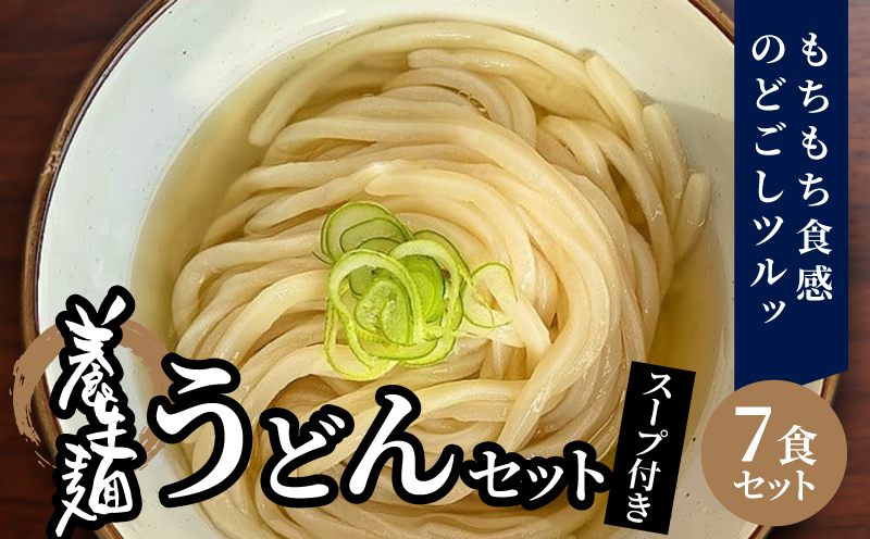 養生麺うどんセット（冷凍）スープ付き K10_0004_2