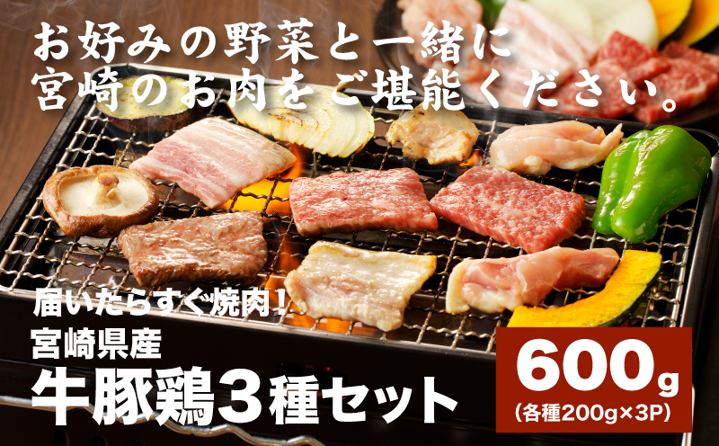 宮崎県産焼肉３種セット【タレ付き】（牛・豚・鶏） 計６００ｇ  カット済み  K16_0079_1