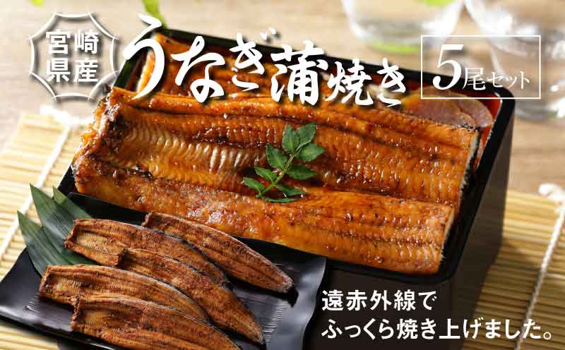 宮崎県産 うなぎ 蒲焼き 5尾セット K10_0011_2 