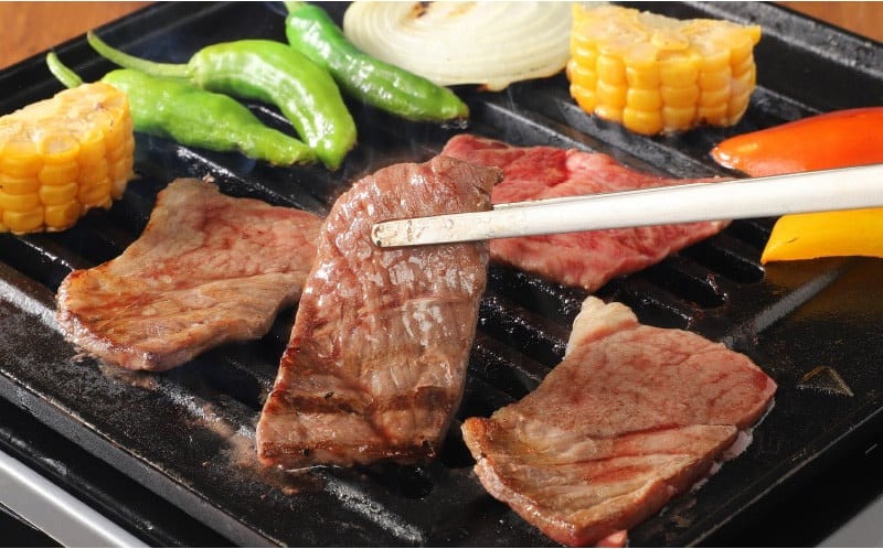 宮崎牛 肩（ウデ） 焼肉500ｇ   K18_0017_7