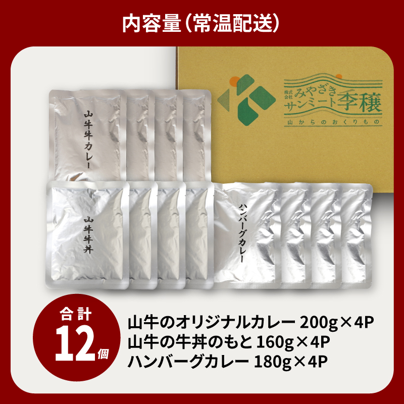 福袋 お楽しみレトルト詰め合わせ12パックセット _K16_0073_3