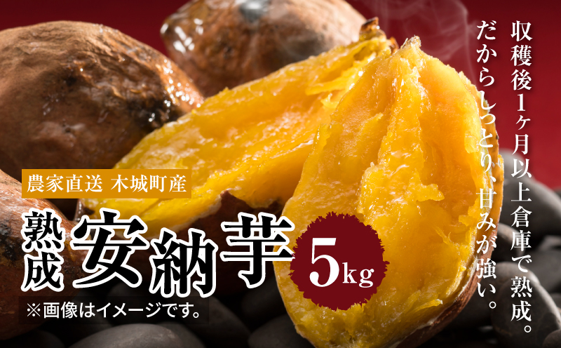 農家直送　木城町産　熟成安納いも5kg K30_0001_1