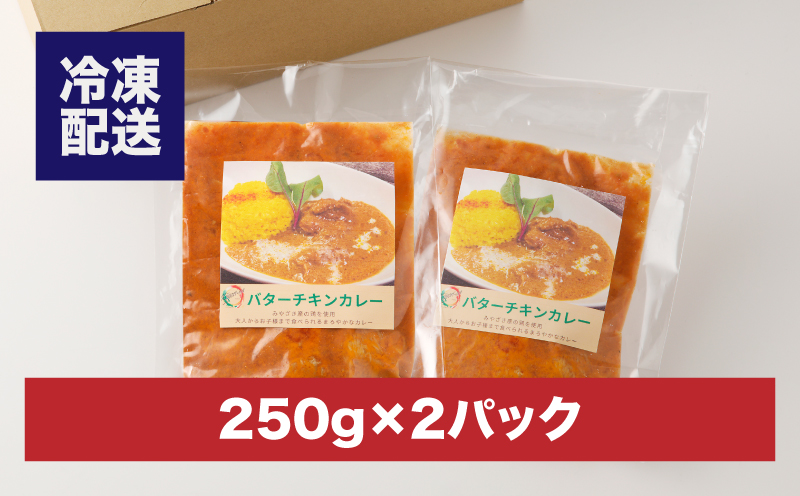 イタリアンシェフが作るバターチキンカレーソース2袋（250g×2袋） K31_0002	