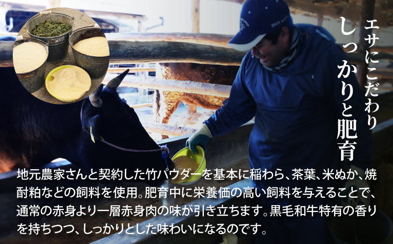 「山牛」のオリジナルカレー10パックセット K16_0012_1