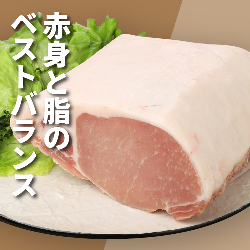 福袋 木城町 お肉いろいろお楽しみセットA K16_0069_3