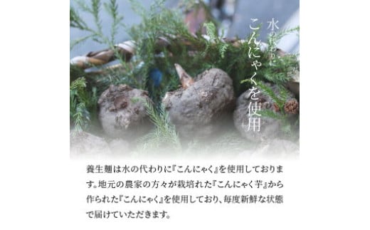 ＜養生麺ラーメン詰合せ 12袋入り＞ K10_0001_2