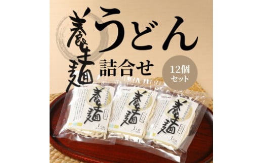 ＜養生麺うどん詰合せ 12袋入り＞ K10_0002_2