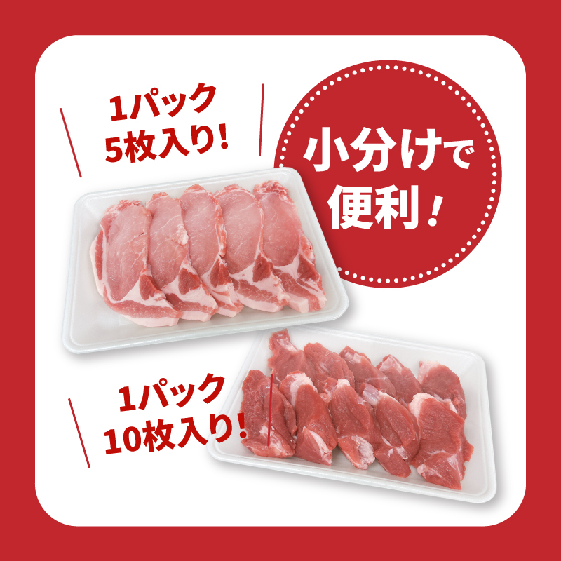 宮崎県産豚肉ロースカツ、ヒレカツセット 計1.3kg K65_0005
