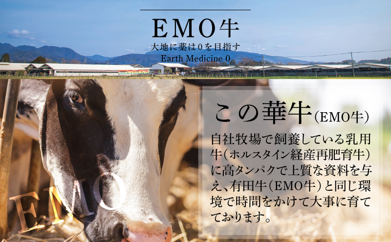 有田牧場直送この華牛切り落とし900g  12ヶ月定期便　K20_T003_1