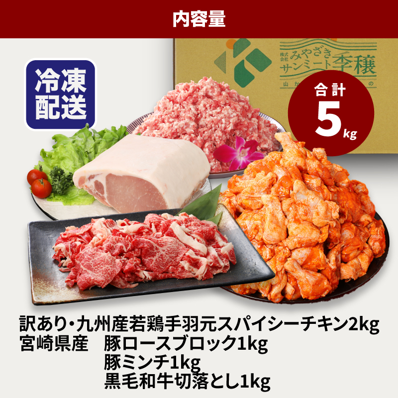 福袋 木城町 お肉いろいろお楽しみセットB K16_0070_3