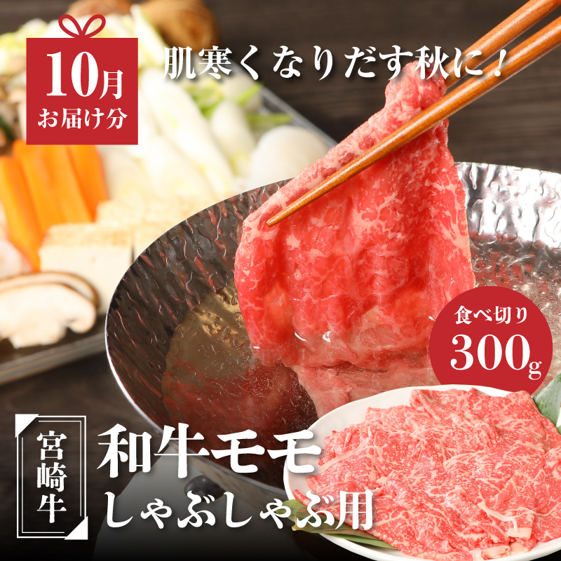 宮崎牛食べ比べセット４回定期便(4回コース・満足) K01_T02