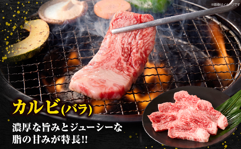 宮崎牛『焼肉』3種食べ比べセット(合計600g)肉 牛 牛肉 おかず 国産_T009-036