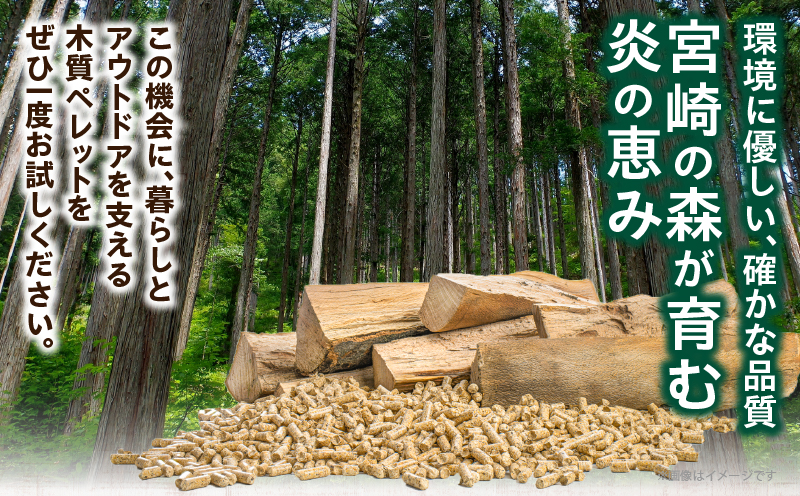 都農町製造『木質ペレット(全木ペレット) 10kg』計1袋 杉 檜 天然 ストーブ ペレット 国産_T058-008
