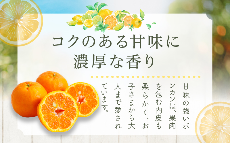先行予約≪期間限定≫都農町産「ポンカン(Lサイズ)」 約5kg フルーツ 果物 柑橘 国産_T008-015