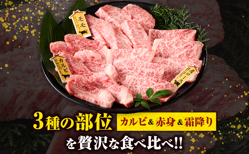 宮崎牛『焼肉』3種食べ比べセット(合計600g)肉 牛 牛肉 おかず 国産_T009-036