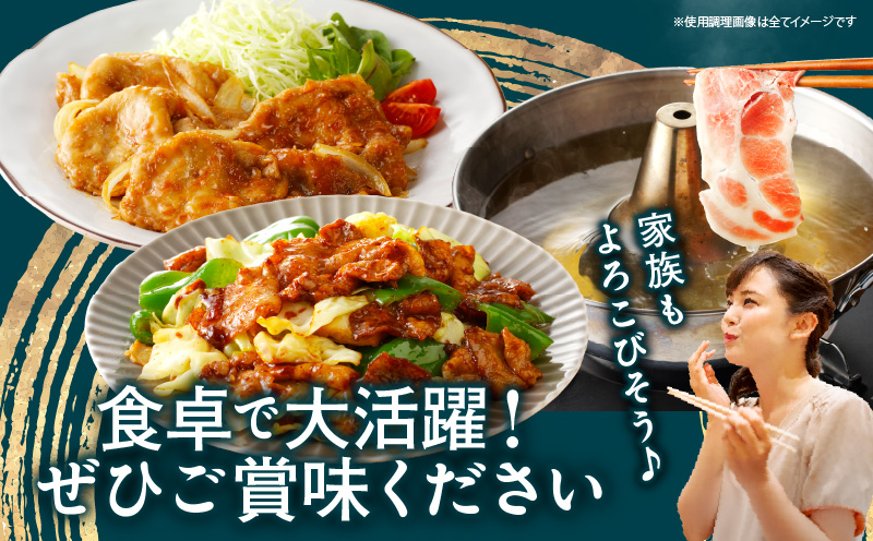 宮崎県産豚スライスバラエティセット(バラ・ロース・肩ロース)合計1.5kg 肉 豚 豚肉 おかず 国産_T030-228