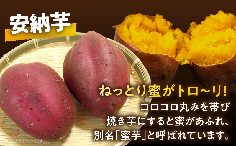 冷やし焼き芋(安納芋) 計800g さつまいも イモ 野菜 国産_T016-009