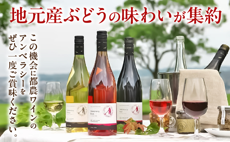 【数量限定】アンベラシー ロゼ(計1本) ワイン 酒 アルコール 国産_T014-047