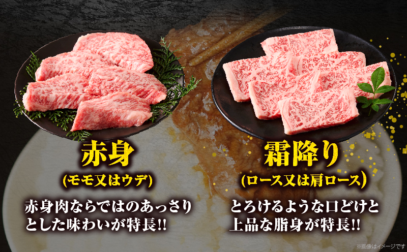 宮崎牛『焼肉』3種食べ比べセット(合計600g)肉 牛 牛肉 おかず 国産_T009-036