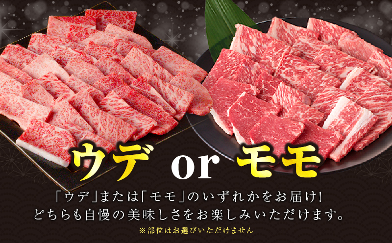 ≪肉質等級4等級以上≫黒毛和牛赤身焼肉(計1kg) 肉 牛 牛肉 国産_T030-0935