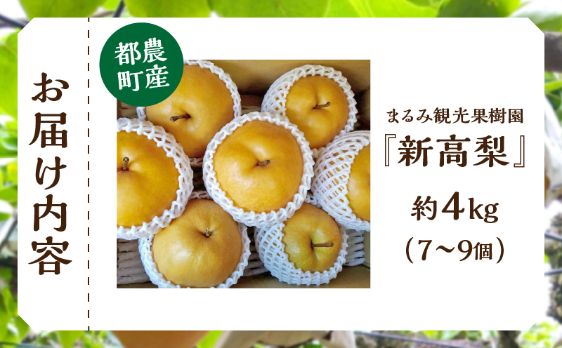 先行予約≪期間限定≫まるみ観光果樹園の『新高梨』(約4kg) なし 果物 フルーツ 天然 ミネラル栽培_T036-0025