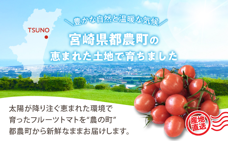 先行予約≪期間限定≫オリジナルブランド「フルーツトマト ゆき」計2kg ミニトマト 野菜 サラダ 国産_T047-0041