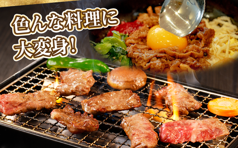 全部小分け真空パック!!「宮崎牛カルビ(バラ)焼肉用」計500g 肉 牛 牛肉 おかず 国産_T041-0062