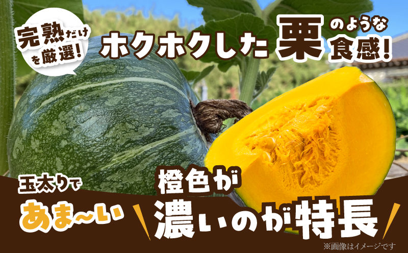 先行予約≪期間限定≫都農町産かぼちゃ 「鈴マロン」計5kg カボチャ 野菜 旬 サラダ 国産_T015-0075
