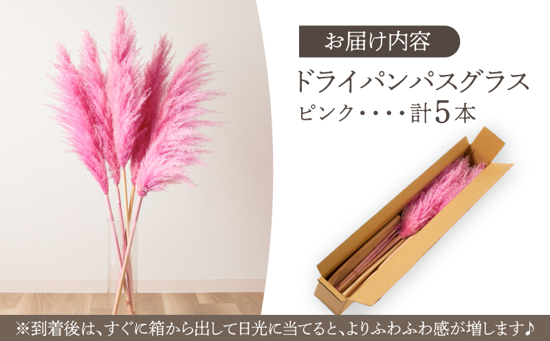 【2週間以内発送】ドライパンパスグラス（ピンク）計5本 すすき インテリア 国産_T057-004