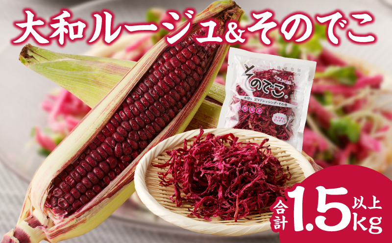 先行予約≪期間限定≫大和ルージュ＆そのでこセット(合計1.5kg以上) 野菜 加工品 国産_T003-0145