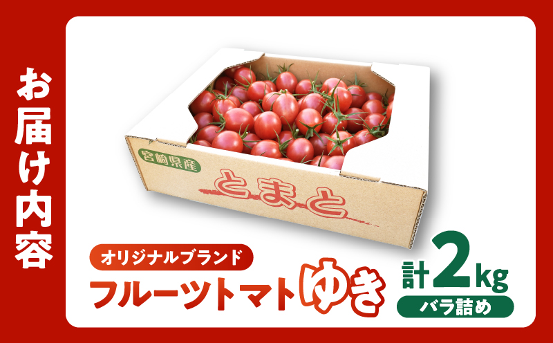 先行予約≪期間限定≫オリジナルブランド「フルーツトマト ゆき」計2kg ミニトマト 野菜 サラダ 国産_T047-0041