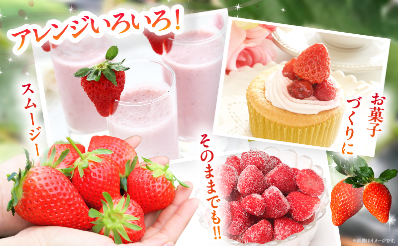 ≪訳あり≫都農町産「冷凍いちご(やよいひめ）」計1kg フルーツ 果物 デザート イチゴ 国産_T059-003