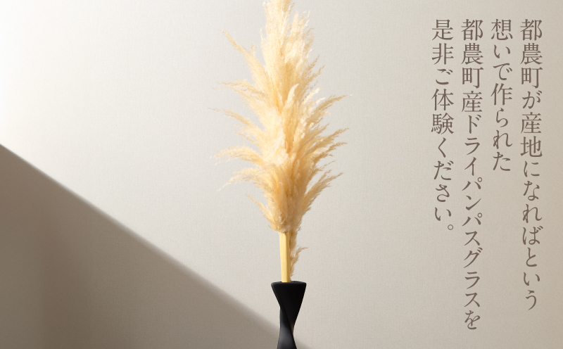 【2週間以内発送】ドライパンパスグラス（ナチュラル）計10本 すすき インテリア 国産_T057-005