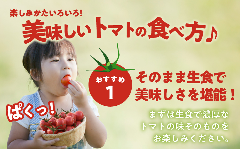 先行予約≪期間限定≫オリジナルブランド「フルーツトマト ゆき」計2kg ミニトマト 野菜 サラダ 国産_T047-0041