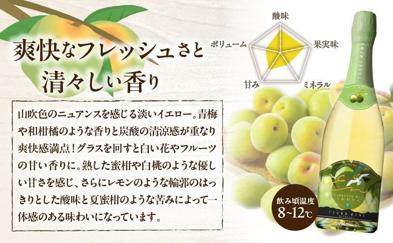 【数量限定】スパークリングワインうめ(計1本) 酒 飲料 アルコール 国産_T014-030