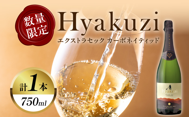 【数量限定】Hyakuzi エクストラセック カーボネイティッド(計1本) 酒 飲料 アルコール 国産_T014-007