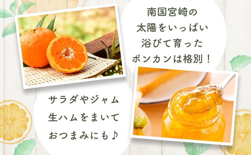 先行予約≪期間限定≫都農町産「ポンカン(Mサイズ)」 約5kg フルーツ 果物 柑橘 国産_T008-005