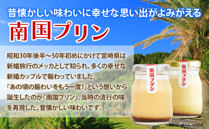 南国プリン「テゲセボン(計6個)」 スイーツ 洋菓子 国産_T038-0041