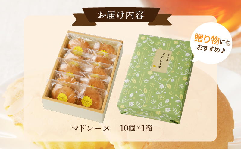 【2週間以内発送】老舗菓子舗のマドレーヌ計10個 焼き菓子 スイーツ 詰め合わせ 洋菓子_T035-0021