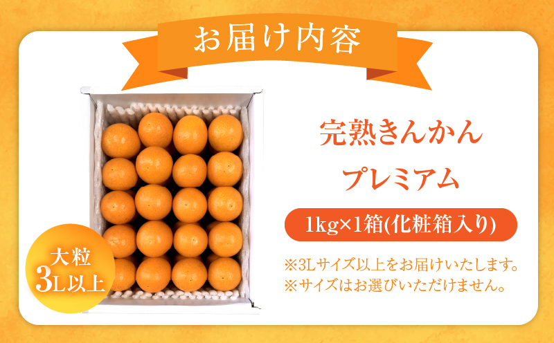 先行予約≪数量限定≫完熟きんかんプレミアム(計1kg) 化粧箱入り フルーツ 果物 柑橘 国産_T042-0011
