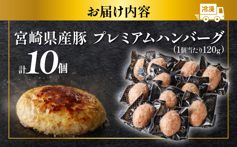 宮崎県産豚プレミアムハンバーグ(計10個) 肉 豚肉 加工品 惣菜 国産_T001-0101