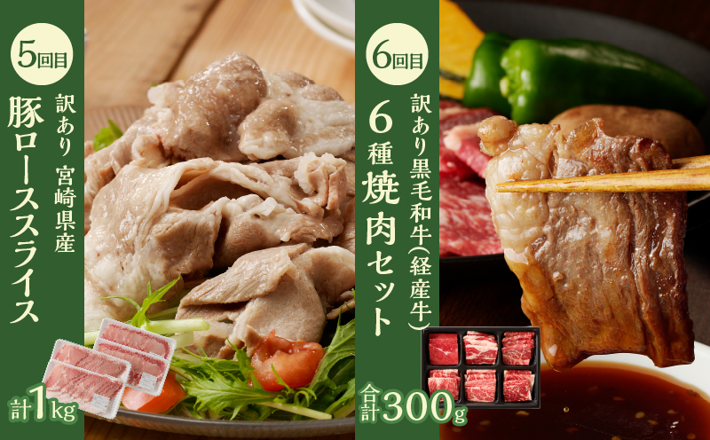≪6か月お楽しみ定期便≫都農町定期便(梅) 肉 加工品 デザート 国産_T999-0056