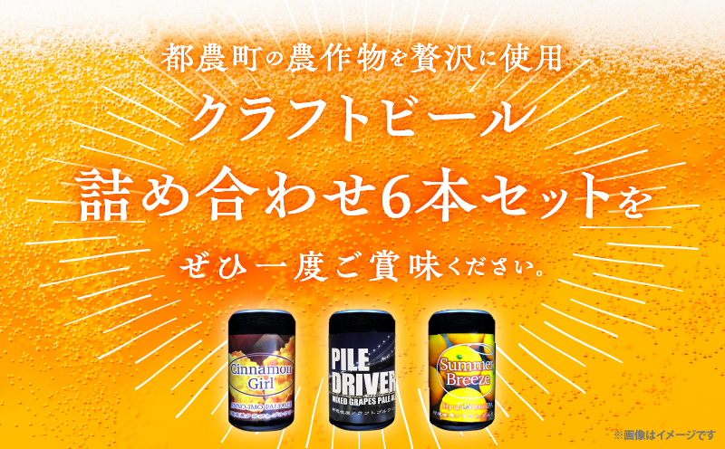 【2週間以内発送】都農クラフトビール詰め合わせ6本セット 酒 アルコール 飲料 国産_T016-0031