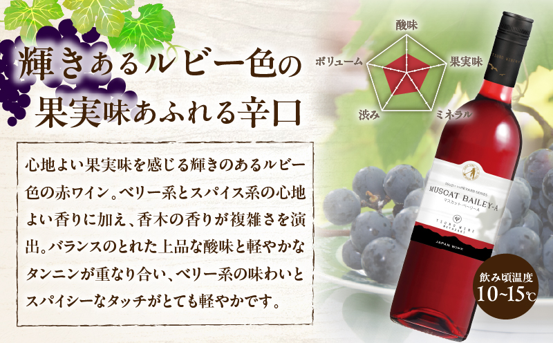 【数量限定】マスカット・ベーリーA 2本セット ワイン 酒 飲料 アルコール 国産_T014-054